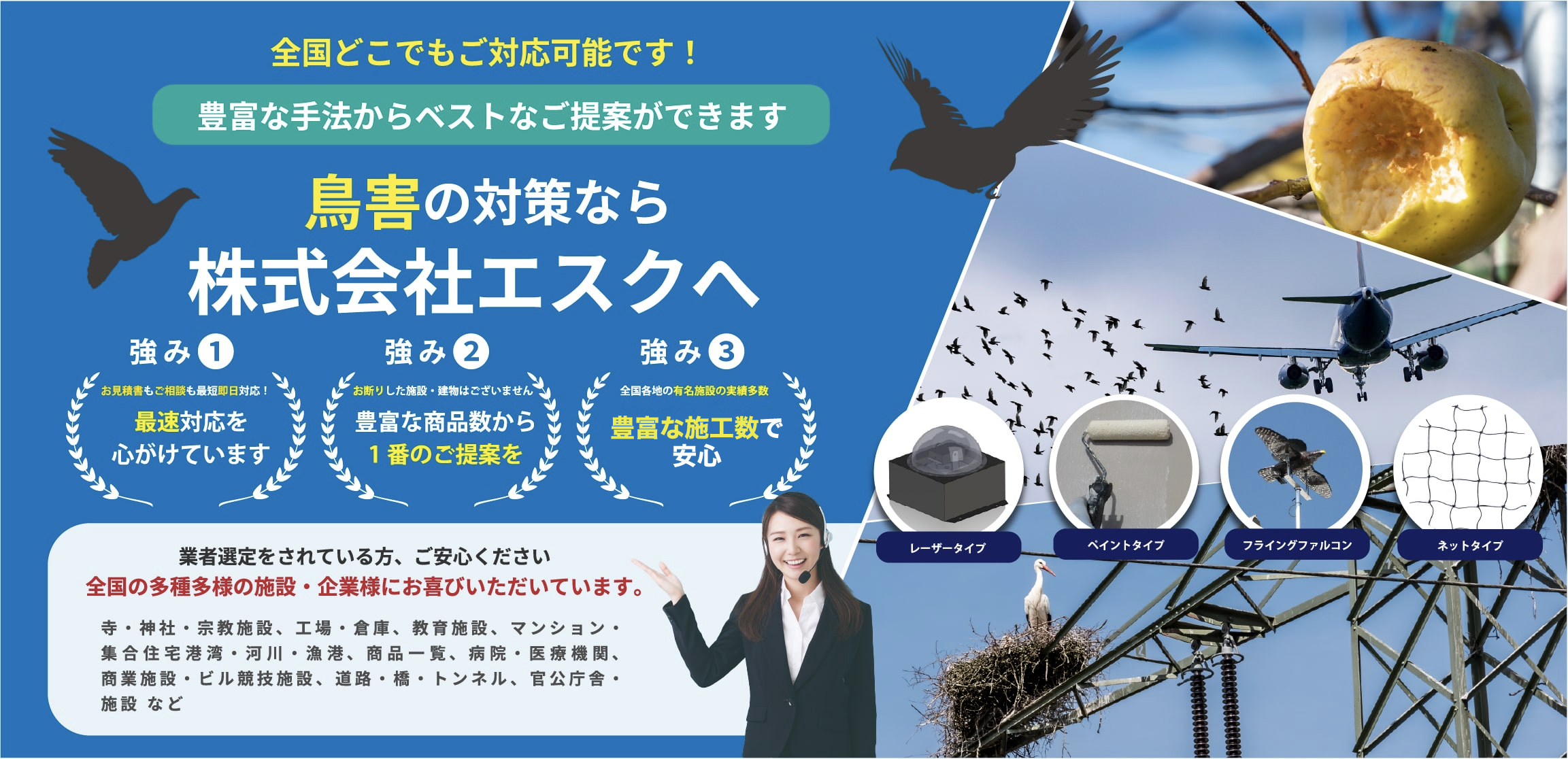 エスクの鳥害対策